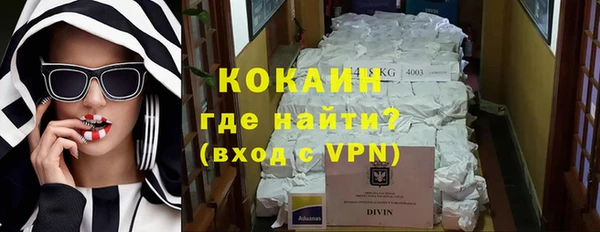 хмурый Алзамай