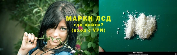 хмурый Алзамай