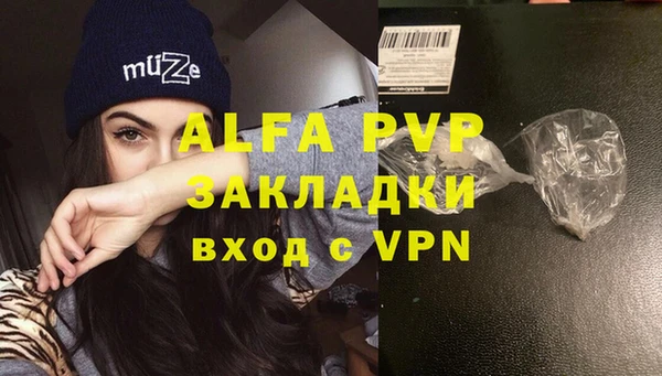 хмурый Алзамай