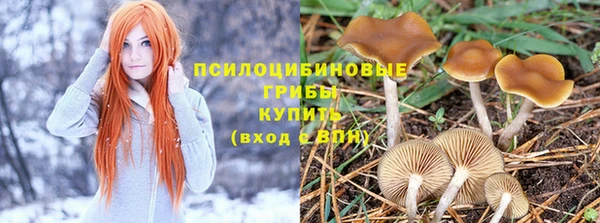 бошки Алексеевка