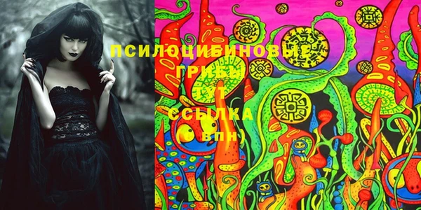 героин Алексин