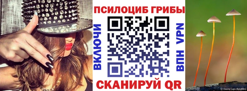 Галлюциногенные грибы мицелий  Красноярск 